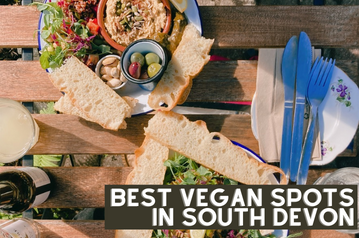 best vegan spots in south devon